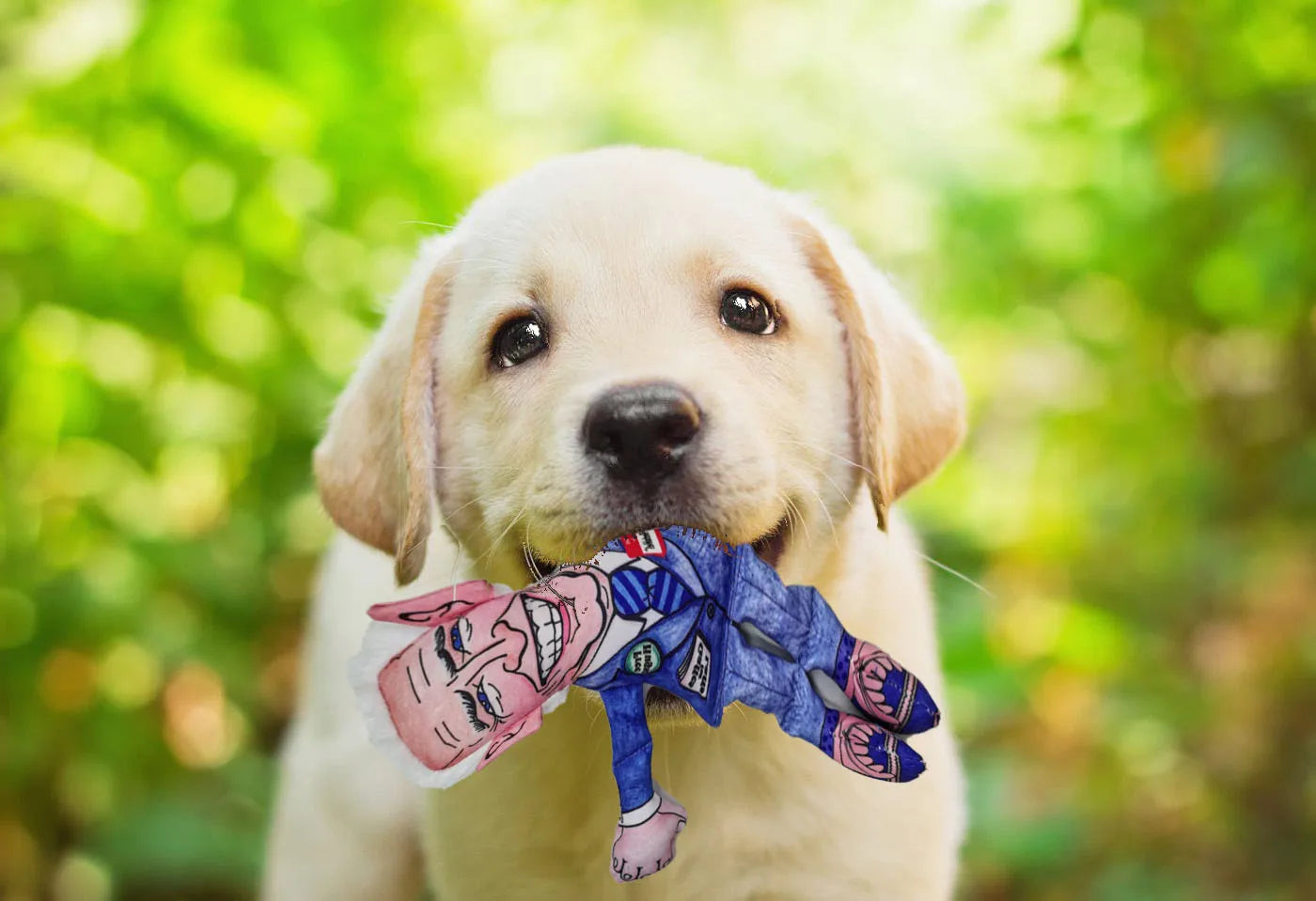 Biden Bark Buster: Political Parody Dog Chew Toy with Squeaker