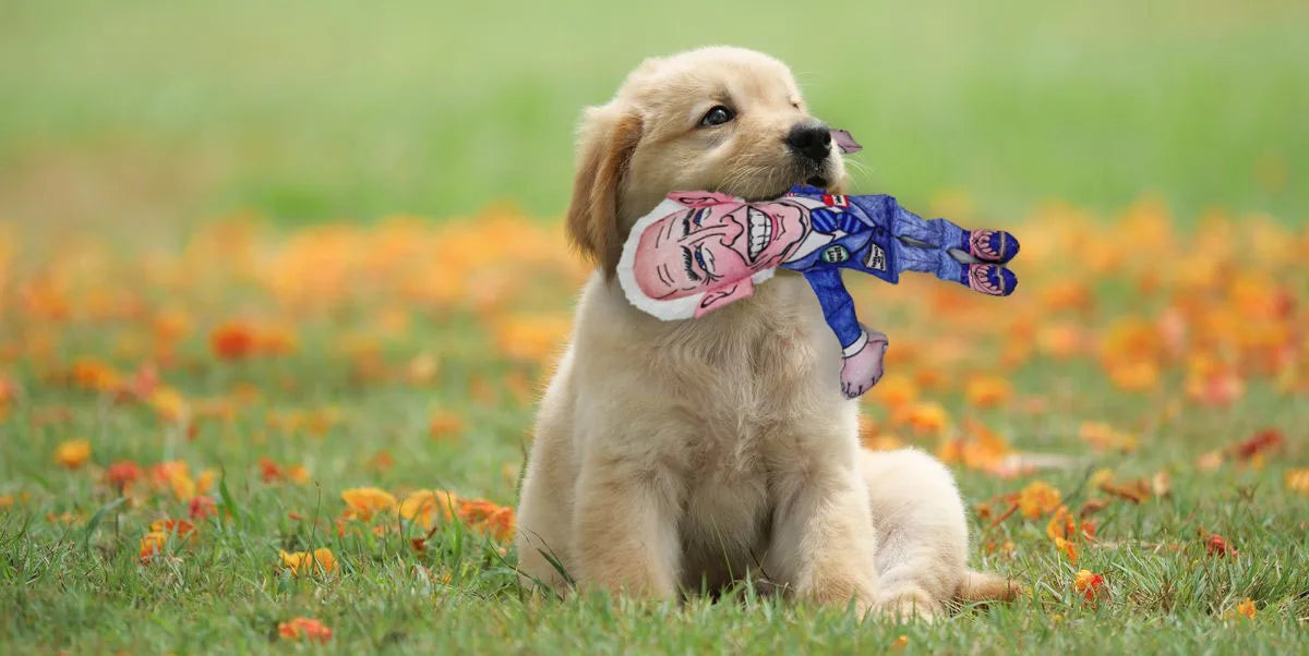 Biden Bark Buster: Political Parody Dog Chew Toy with Squeaker