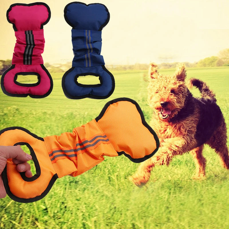 BoneBuddy Interactive Chew Toy: Training & Play for Puppies and Small Dogs