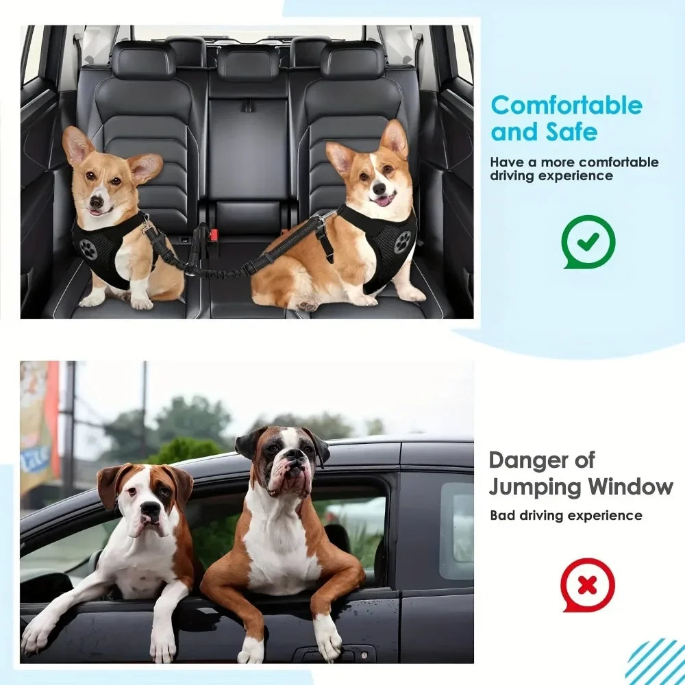 Double Dog Safety Seat Belt