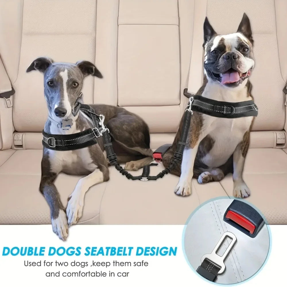 Double Dog Safety Seat Belt