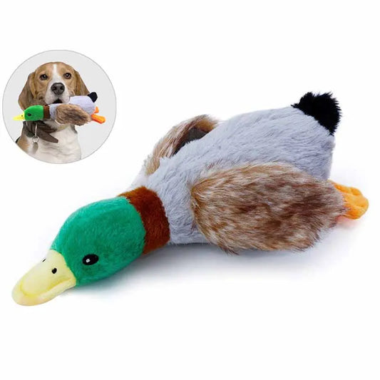 QuackRattle Teether: Wild Duck Plush Toy with Sound