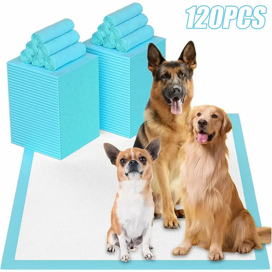 SuperDry Pet Training Pads: Ultra-Absorbent Disposable Pee Mats for Dogs and Cats