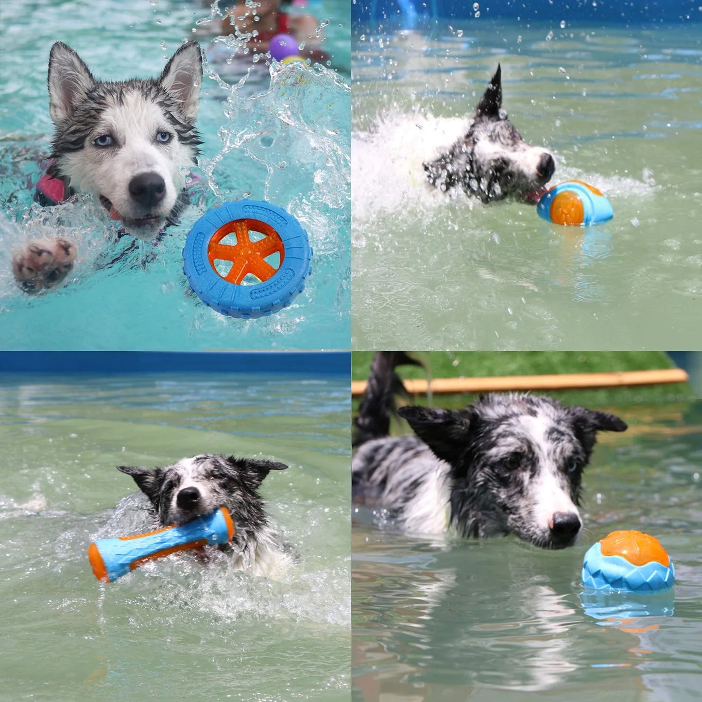 ToughSqueak: Bite-Resistant Rubber Chew Toy for Large Dogs