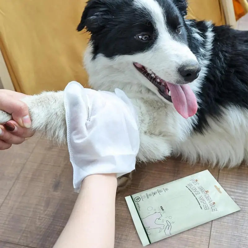 PawsFresh No-Rinse Dog Grooming Wipes and Washing Gloves