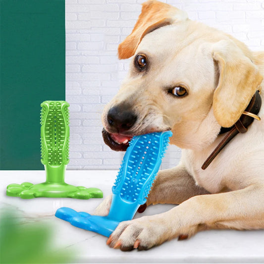 MightyBite: Squeak & Clean Playtime Toys for Dogs